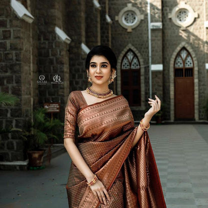 Traditional Grace in Copper – Banarasi Silk Saree