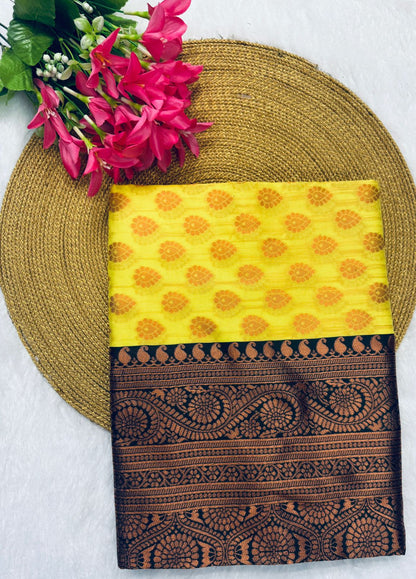 Elegant Simplicity in Banarasi Soft Silk – A Modern Minimalist's Dream