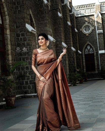 Traditional Grace in Copper – Banarasi Silk Saree