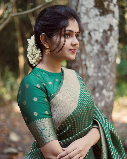Banarasi Soft Silk Kanjivaram Saree with Elegant Border Design