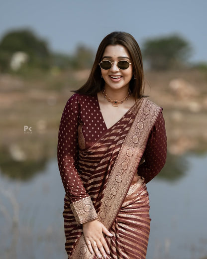 Elegant Banarasi Soft Silk Saree in Stunning Minimal Design