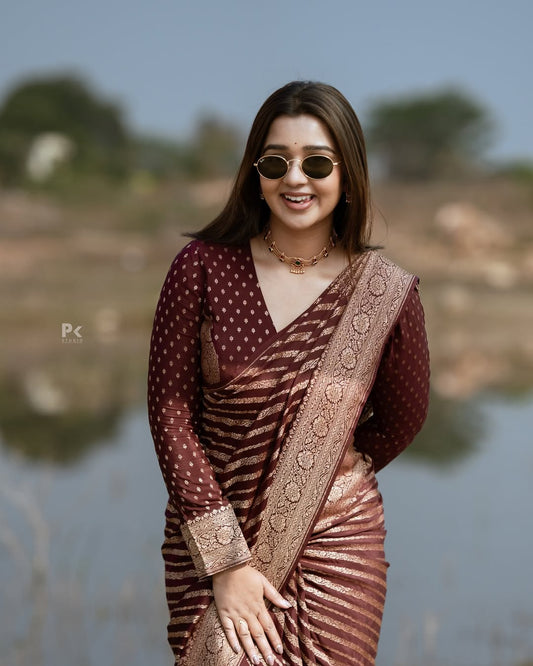 Elegant Banarasi Soft Silk Saree in Stunning Minimal Design