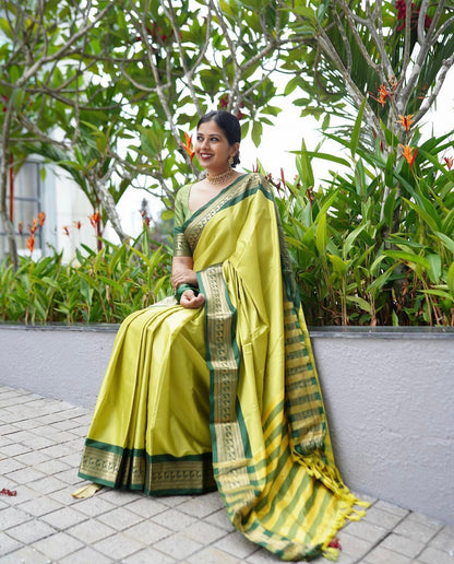 Elegant Banarasi Soft Silk Saree with Rich Luster