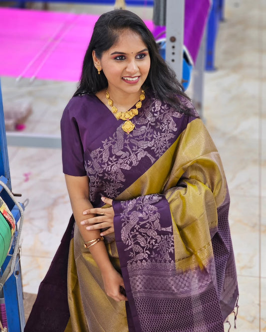 Elegant Simplicity in Banarasi Soft Silk – A Modern Minimalist's Dream