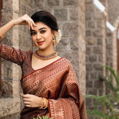 Traditional Grace in Copper – Banarasi Silk Saree