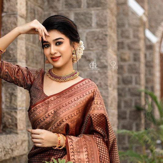 Traditional Grace in Copper – Banarasi Silk Saree