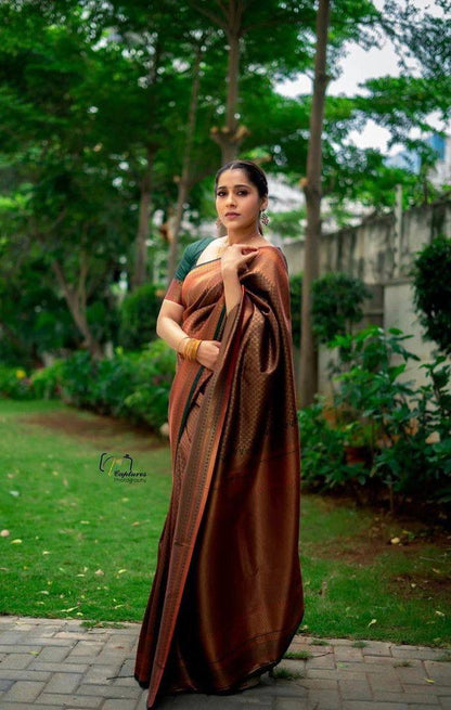 Elegance in Every Thread – Copper Zari Woven Banarasi Silk Saree