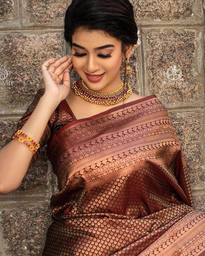 Traditional Grace in Copper – Banarasi Silk Saree