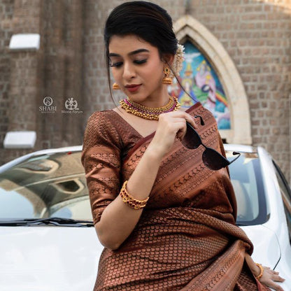 Traditional Grace in Copper – Banarasi Silk Saree