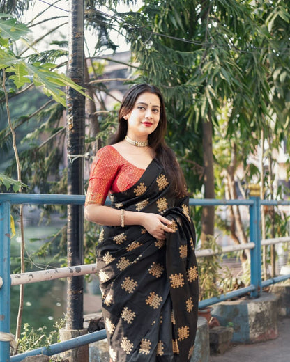 Banarasi Soft Silk Saree in Elegant Minimal Design