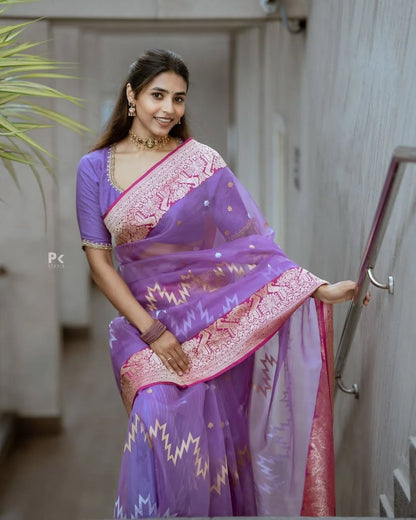 Elegant Simplicity in Banarasi Soft Silk – A Modern Minimalist's Dream