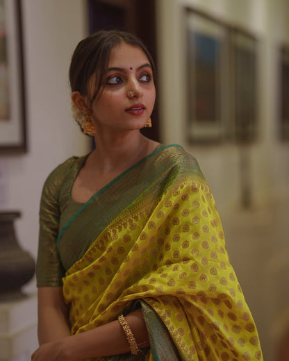 Elegant Simplicity in Banarasi Soft Silk – A Modern Minimalist's Dream