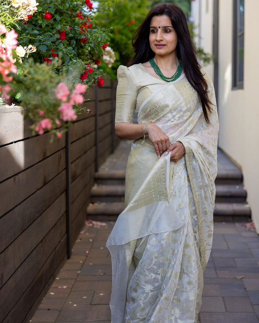 Banarasi Soft Silk Saree – Exquisite Weaving and Stunning Pallu Detailing