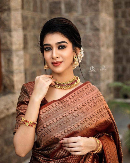 Traditional Grace in Copper – Banarasi Silk Saree