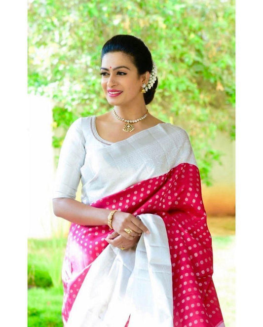 Burgundy Banarasi Soft Silk Saree with Silver Zari Paisley Pallu