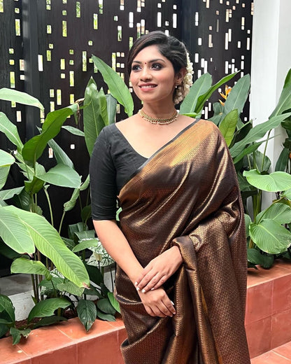 Minimalist Banarasi Soft Silk Saree – Eco-Friendly Elegance