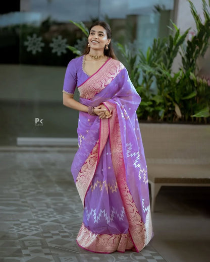 Elegant Simplicity in Banarasi Soft Silk – A Modern Minimalist's Dream