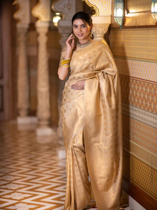 Banarasi Soft Silk Saree – Elegant Simplicity with a Touch of Tradition