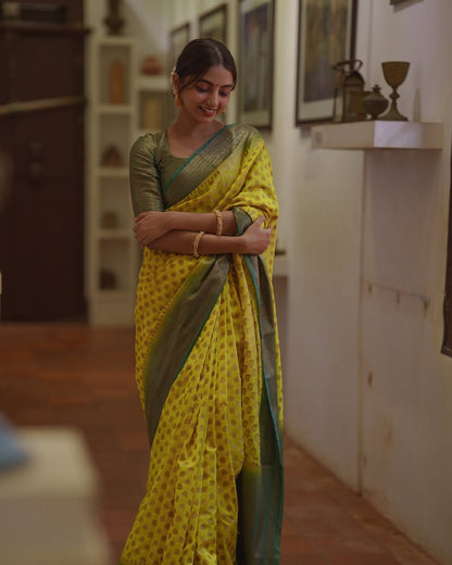 Elegant Simplicity in Banarasi Soft Silk – A Modern Minimalist's Dream