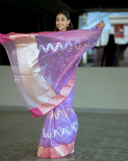 Elegant Simplicity in Banarasi Soft Silk – A Modern Minimalist's Dream