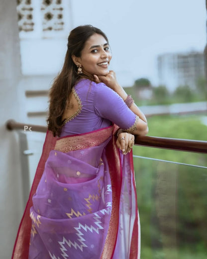 Elegant Simplicity in Banarasi Soft Silk – A Modern Minimalist's Dream