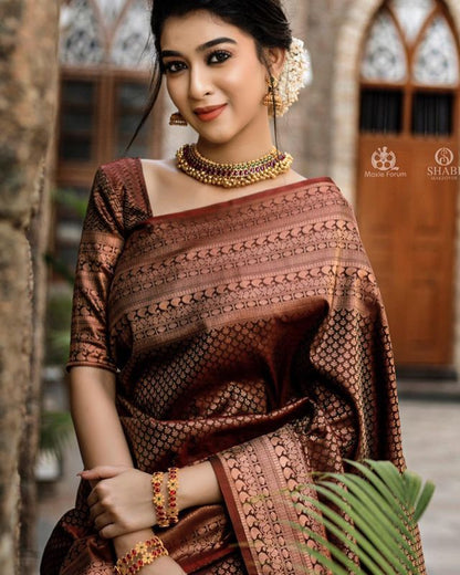 Traditional Grace in Copper – Banarasi Silk Saree