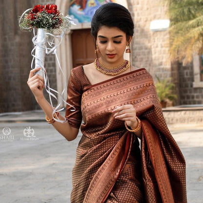Traditional Grace in Copper – Banarasi Silk Saree