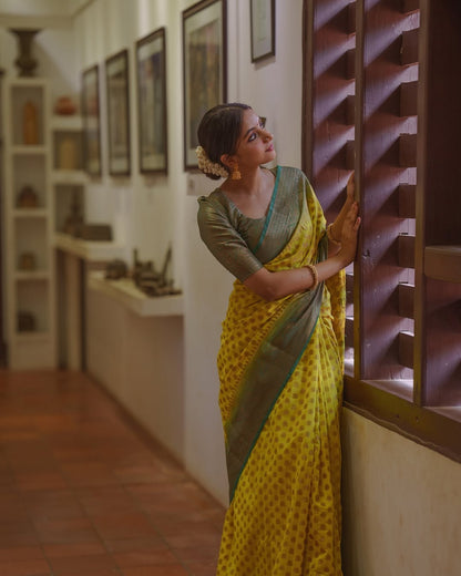 Elegant Simplicity in Banarasi Soft Silk – A Modern Minimalist's Dream