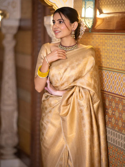 Banarasi Soft Silk Saree – Elegant Simplicity with a Touch of Tradition