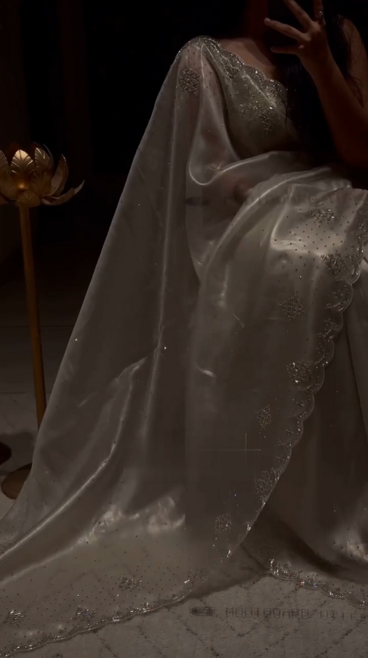 Timeless Elegance in Organza Sartin with Zarkan Work