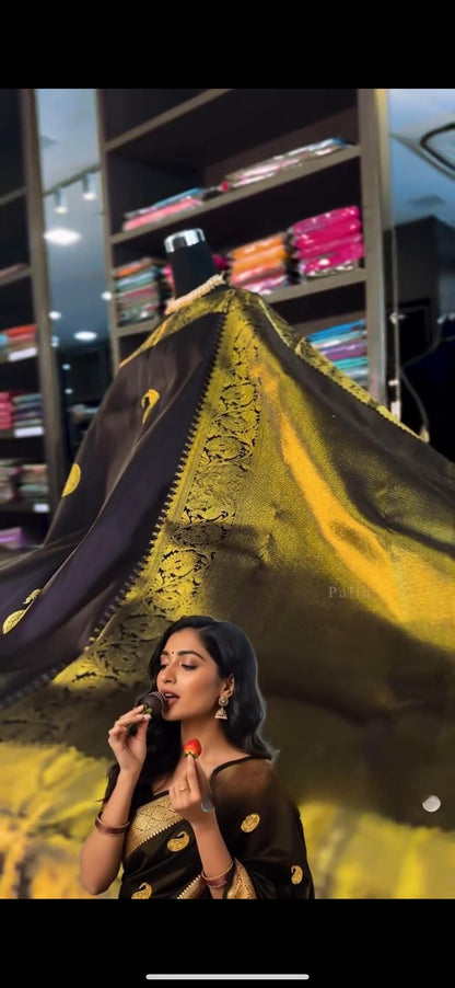 Elegant Black Banarasi Soft Silk Saree with Golden Paisley Weaving