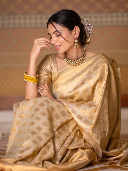 Banarasi Soft Silk Saree – Elegant Simplicity with a Touch of Tradition