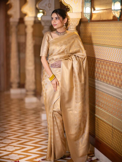 Banarasi Soft Silk Saree – Elegant Simplicity with a Touch of Tradition
