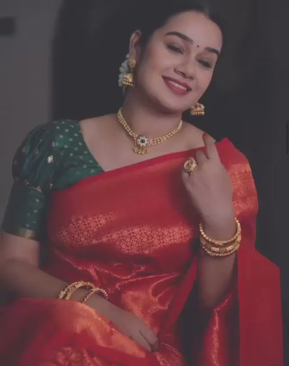 Elegance for the Bride – Banarasi Silk Saree